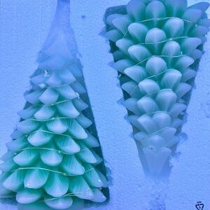 Set of two green wax Christmas trees with color changing LED lights